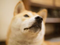-三目仓咖啡(贤南路店)