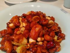 -新侨小馆(东直门北小街店)