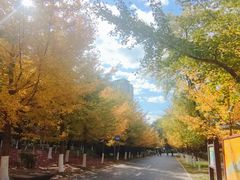 -长白岛森林公园