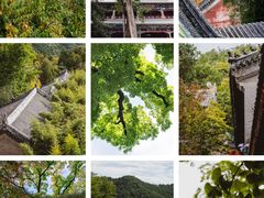 -潭柘寺景区