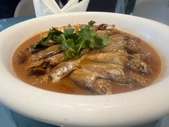 -大连湾旭日·家宴·海肠捞饭(马栏广场店)