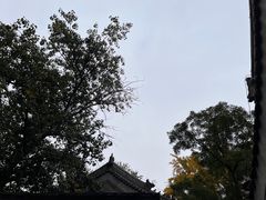-白云观