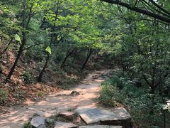 -鬼笑石后山停车场