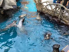 -华夏文旅海洋公园