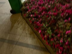 -刘三姐特色烤豆花·宜宾烧烤·把把烧(万年场店)