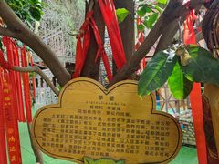 -呀路古热带植物园