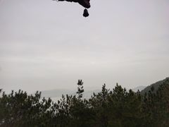 -梦姑塘文化公园