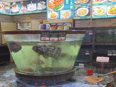 -德胜轩正宗顺德菜(宝安沙井会展中心店)