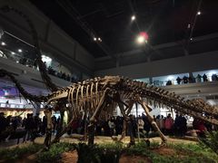 -自贡恐龙博物馆