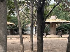 -北京海洋馆