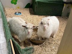 -北京华联合肥长江西路购物中心