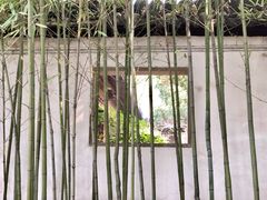 -秋霞圃
