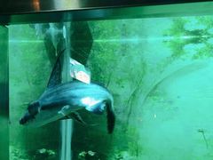-秦皇岛新澳海底世界