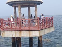 -养马岛旅游度假区