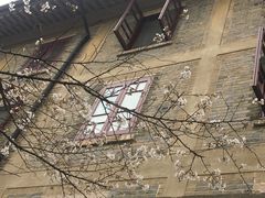 -武汉大学-樱园