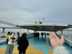 -澳门环岛游湾仔码头