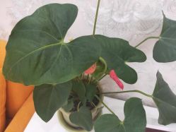 -Cocodemer女性健康·产后恢复(天一广场店)