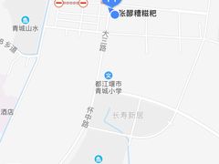 -张醪糟(街子店)