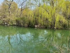 -济南大明湖景区