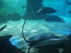 -常州海昌海洋探索馆