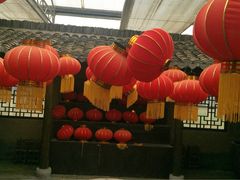 -上海都市菜园