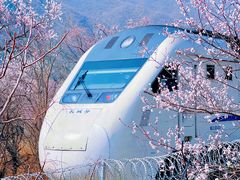 -居庸关长城