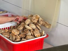 -金莲葱饼