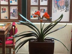 -小吊梨汤·北京菜·烤鸭(双井乐成中心店)