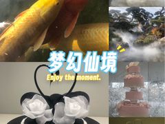 -罗红摄影艺术馆