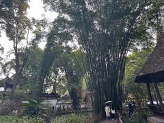 -成都杜甫草堂博物馆