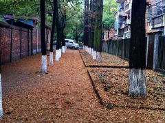 android_upload_pic-南华大学(红湘校区)