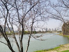 -澹台湖公园