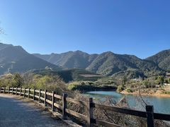 -龙坞茶村