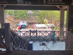 -重庆海昌加勒比海水世界