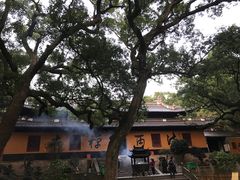 -普陀山风景名胜区-法雨禅寺
