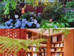 -二酉书店TOYOU BOOKS