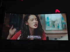 -枫花园汽车电影院(朝阳公园店)