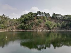 -王借岗森林公园