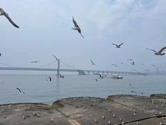 -星海广场