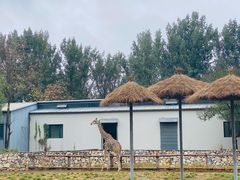-北京野生动物园