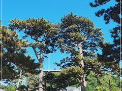 -妙峰山风景名胜区