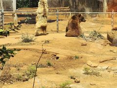 -昆明动物园