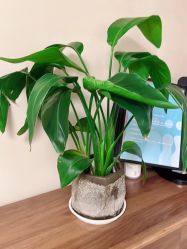 -唯伊美塑身美养连锁