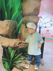 -酷嗒动物文化乐园(cutezoo西溪乐天城店)