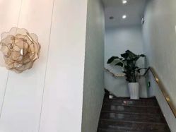 -YESIDO椰岛美容