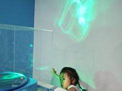 -陕西科学技术馆