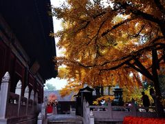 -红螺寺