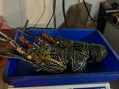 -Green Lobster Waskaduwa Seafood Restaurant