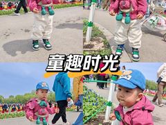 -北陵公园