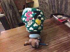 -猫色咖啡·猫咖